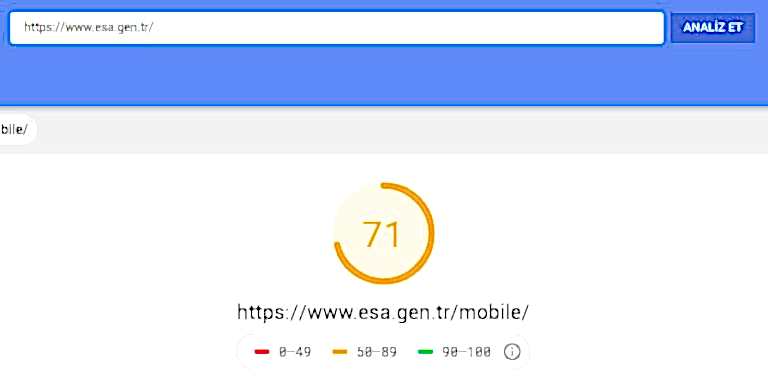 SEO için site hızı