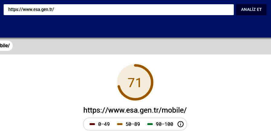 SEO için site hızı